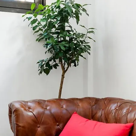 Sh El Teatro Duplex Industrial En El Falla