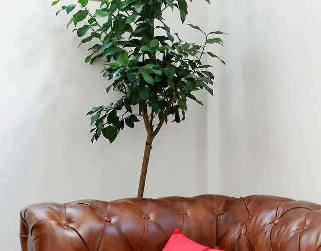 Sh El Teatro. Duplex Industrial En El Falla.